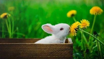 金沙娱乐App下载|武术赛事v1.8.9